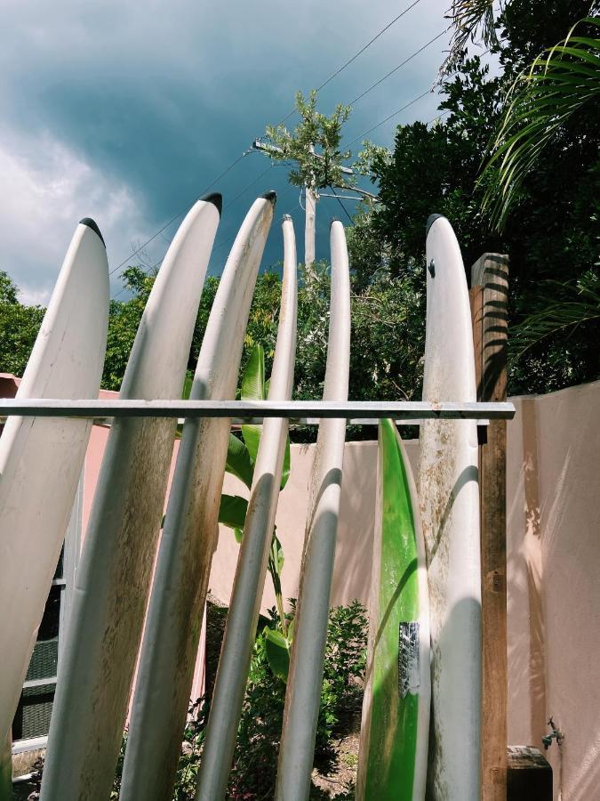 Ostello Dolphins Backpackers Sunshine Beach Esterno foto